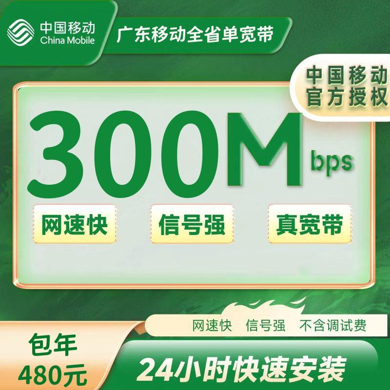 广东移动 300M一年 480元 +100安装费