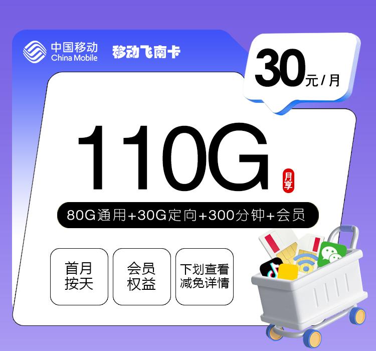 移动飞南卡【30元110G+300分钟+会员】