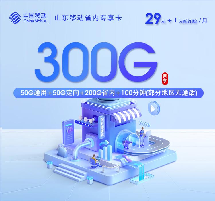 山东移动省内专享卡【30元300G+100分钟】