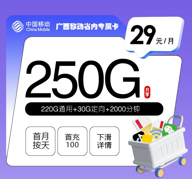 广西移动省内专属卡【29元250G+2000分钟】
