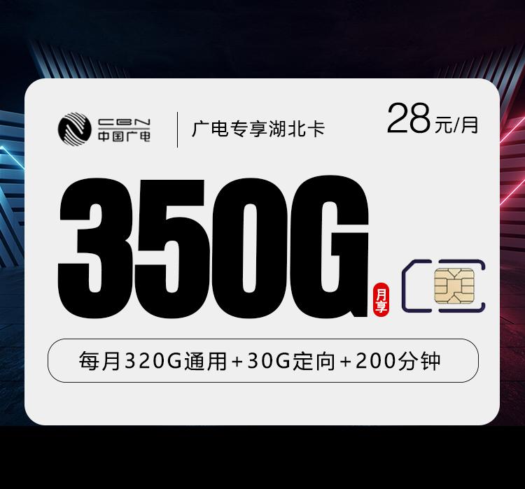 广电专享湖北卡【28元350G+200分钟】